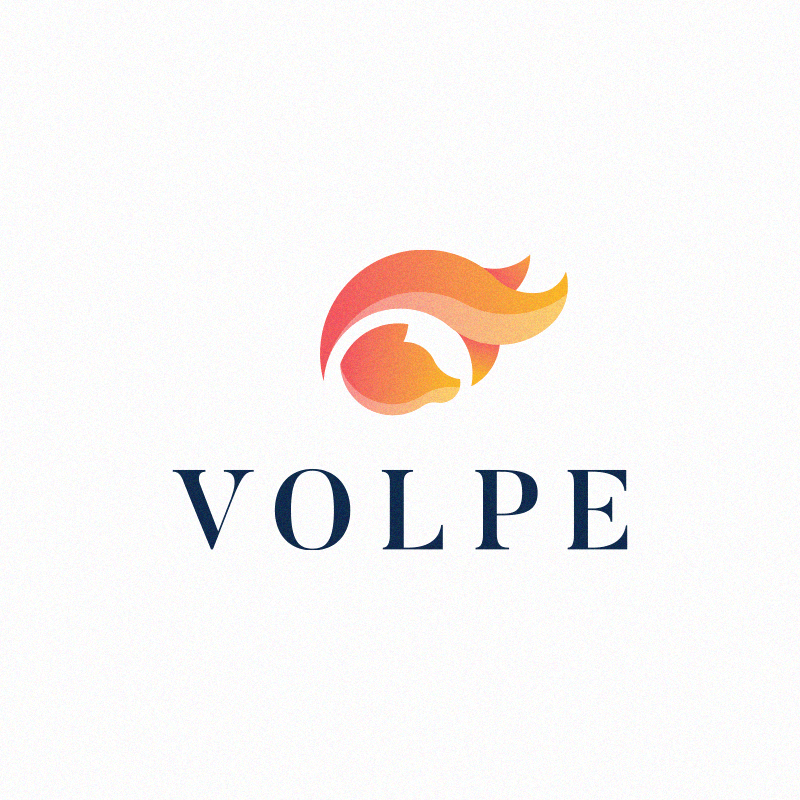 Volpe Logo, Branding & Packaging Case Study ninthfloor