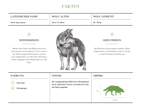 Screenshot des Fakten-Moduls zum Wolf