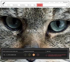 Tier-Steckbrief mit Nahaufnahme der Augenpartie einer Wildkatze auf der Website der Deutschen Wildtier Stiftung