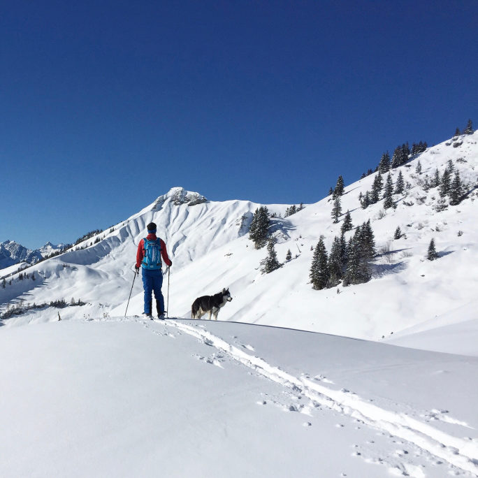 Jens auf Skiern begleitet von einem Husky in einer winterlichen Berglandschaft