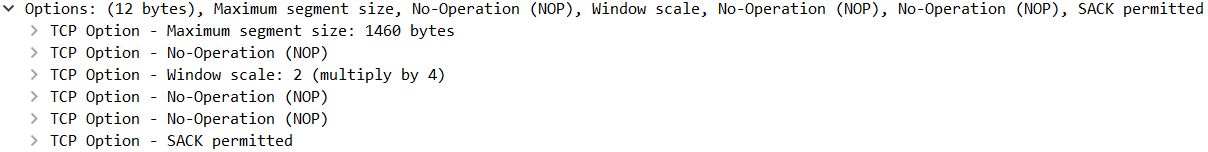 TCP options