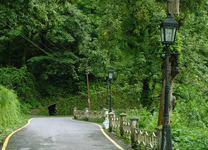 Drive-from-Sankri-to-Dehradun