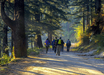 kedarkantha-Base-to-Sankri