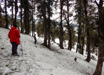 kedarnath-trekking-imgggg