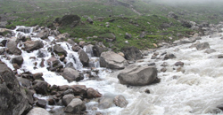 Kedarnath-rudrprayag2