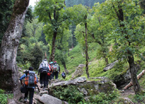 Manali-to-Jobra2