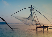 cochin3