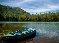 munnar3