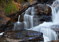 sightseen-munnar2