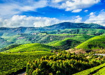 sightseen-munnar3