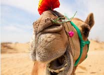jaisalmer3