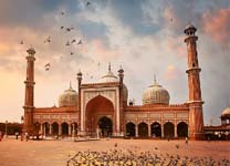 delhi1