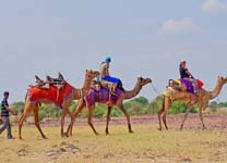 jaisalmer-sightseen3