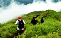 back-to-home3