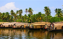 cochin-image1