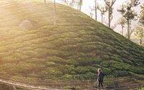 munnar-image3