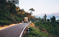 munnar-sightseeing