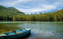 munnar-sightseeing1