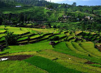 delhi-kausani2