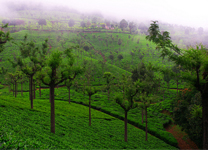 kausani-sightseing