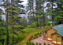 Dhanaulti1
