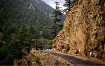 Sankri-to-Dehradun