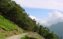 Sankri-to-Dehradun2