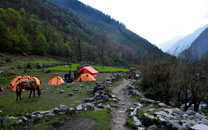 how-to-reach-dehradun3