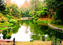 Delhi-ranikhet-2