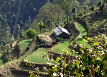 Delhi-ranikhet-3