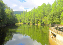 Ranikhet-Bhalu-dam