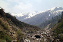 dwali-image2