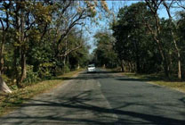 kg-image1