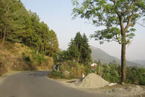 kg-image2