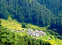Dehradun-Pantwari-2-min