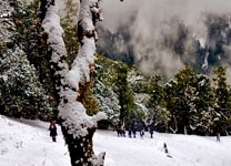 Dehradun-Pantwari-3-min