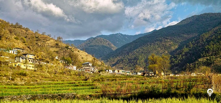 Dehradun-Pantwari-slider1-min