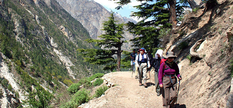 binsar-image-trek