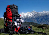 way-to-haldwani2