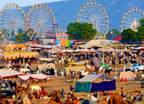 Delhi-Pushkar2