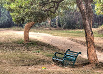 Delhi-to-Chandigarh2