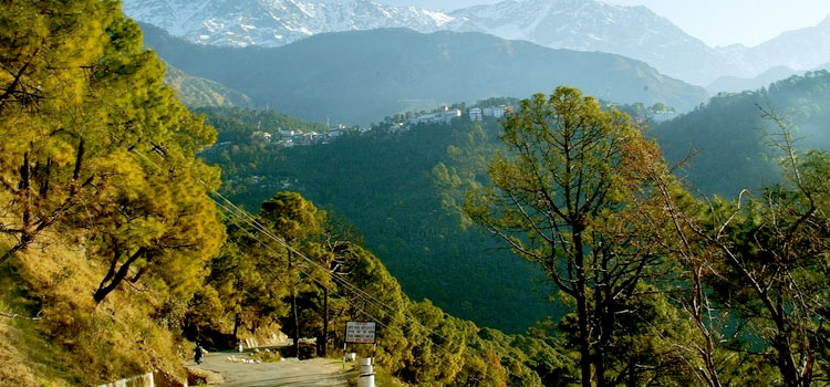 Dharamsala1