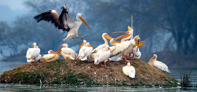 Offbeat-uttarakhand-Slider-1
