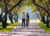 Couple-in-garden