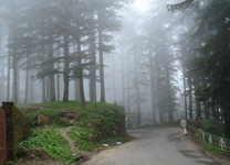 Mussoorie-Delhi-3