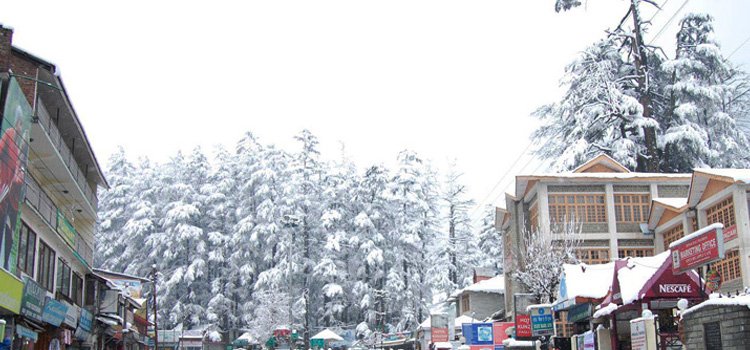manali-camp-slider1