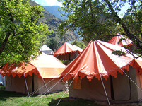 manali-camp1