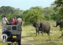 Corbett-holiday-packages