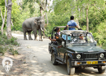 corbett-image