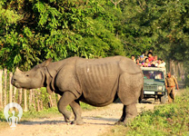corbett-package-itnary